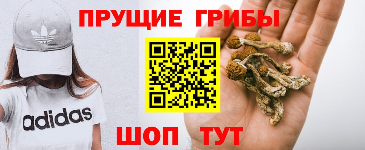 Псилоцибиновые грибы Cubensis  Галлюциногенные грибы Magic Shrooms  Борзя  Вход с VPN 